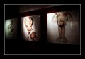 10 - Erwin Olaf 02